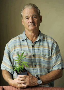 bill-plant